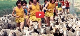 B.A. de la semaine #25 : Les Fous du stade