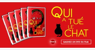 Gagnez un DVD de Qui a tué le chat ? (Luigi Comencini, 1977)