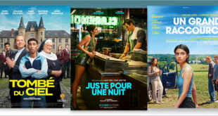 sorties Comédie du 12 août 2026 : Tombé du ciel, Juste pour une nuit (One Night Only), Un grand raccourci