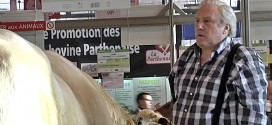 Depardieu, Poelvoorde, vaches et cochons