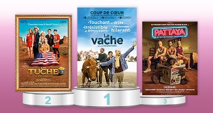 Rentabilité des films français en salle en 2016